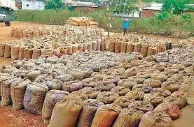 हरियाणा सरकार ने स्वीकार की Rice Millers के धान घोटाले की गड़बड़ी