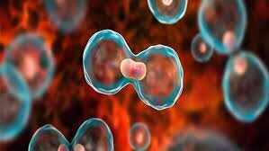Blood Cancer होने से पहले शरीर में नजर आते हैं ये लक्षण, भूलकर भी न करें अनदेखा