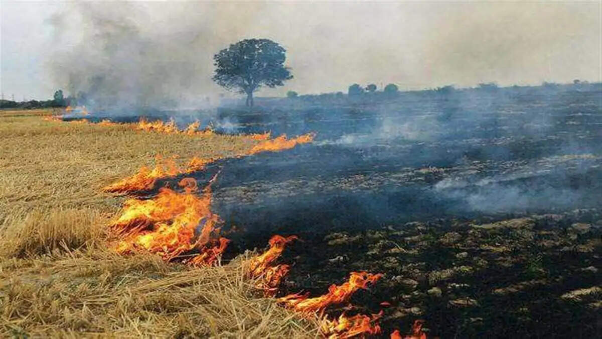 पराली जलाने को लेकर सख्त हुई हरियाणा सरकार, 44 जगह फायर ब्रिगेड भेजकर बुझाई आग