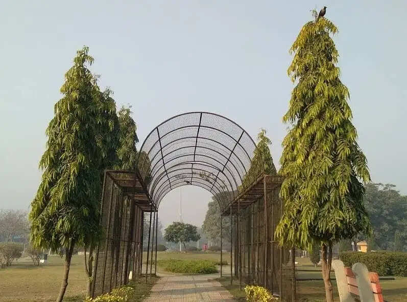 पानीपत में पार्कों की साफ़ सफ़ाई को लेकर डीसी ने जारी किए दिशा निर्देश