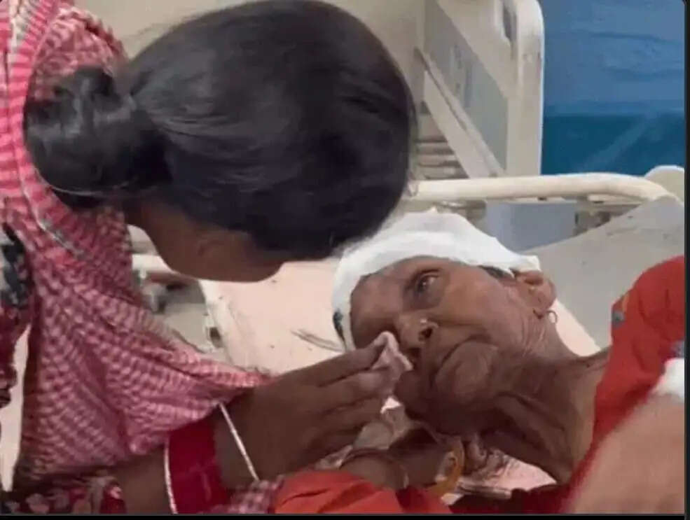 गमला टूटने की रंजिश में मारपीट, बीच-बचाव करने आई बुजुर्ग महिला को भी पीटा..
