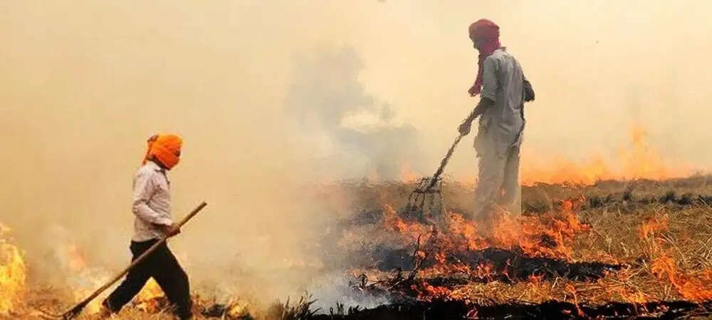 पराली जलाने के मामलों में हो रहा इजाफा, अधिकारियों ने मौके पर पहुंचकर किया मुआयना