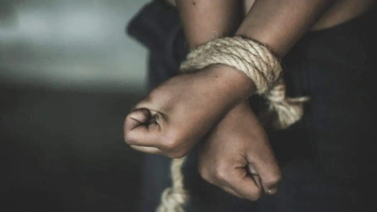 पत्नी के नाराज होकर जाने पर साढू ने किया 4 साल की बच्ची का अ*पहरण