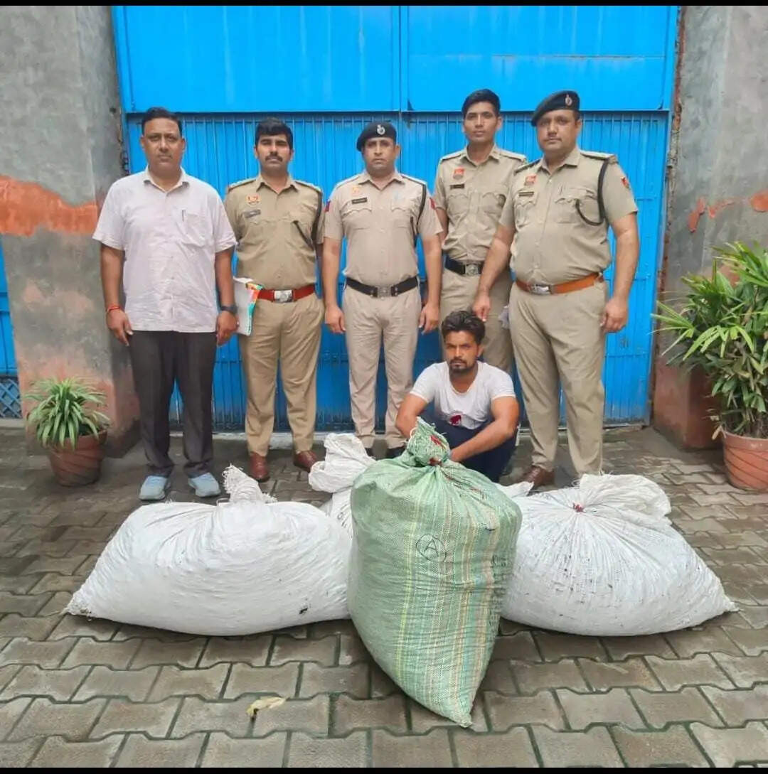 पानीपत में नशा तस्करी का भंडाफोड़, 107 किलो गांजा जब्त!