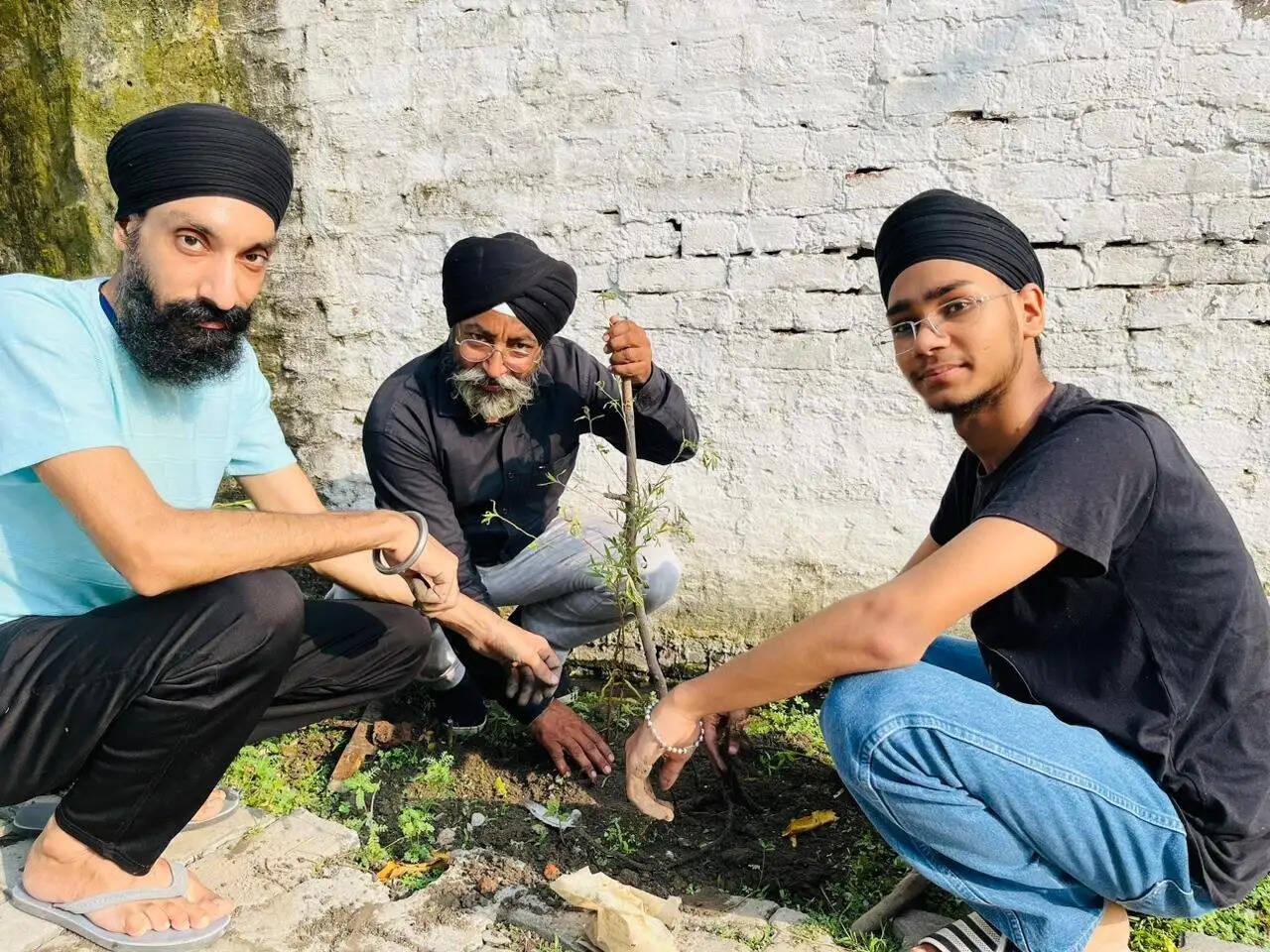 श्री गुरू तेग बहादर सेवा दल व एनआईआरसी के सदस्यो ने लगाए 100 से अधिक पेड़
