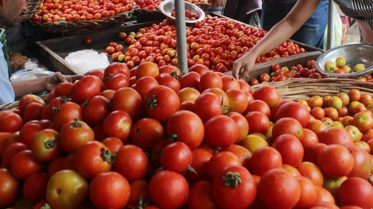 टमाटर के दाम छूने लगे आसमान, पेट्रोल डीजल के बाद टमाटर के दाम में हुई बढ़ोतरी