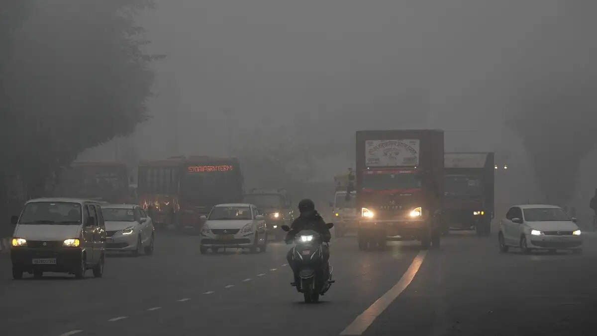 हरियाणा के 7 जिलों में घनी धुंध, विजिबिलिटी जीरों से 50 मीटर