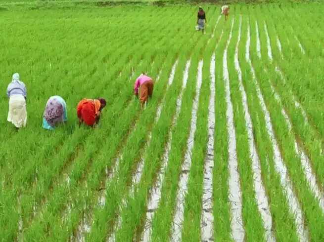 इस महीने सरकार देगी PM Kisan Samman Nidhi Yojana की 16वीं किस्त, इन किसानों को मिलेगा लाभ