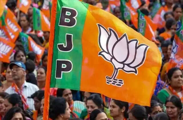 HARYANA:- भाजपा संगठनात्मक चुनाव कल, आज ही होगी नामांकनों की छटनी और वापसी