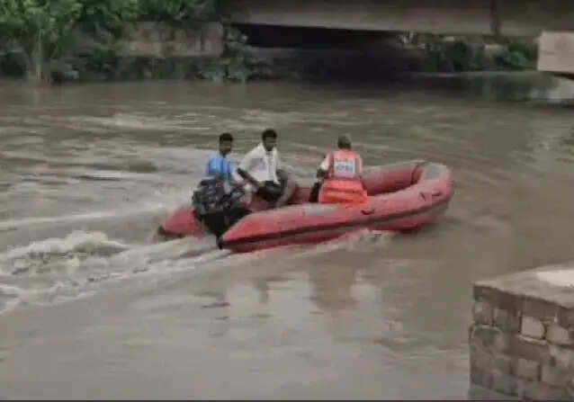 रोहतक: JLN नहर में कुत्ते को बचाने कूदा किशोर, 48 घंटे बाद भी नहीं मिला सुराग..