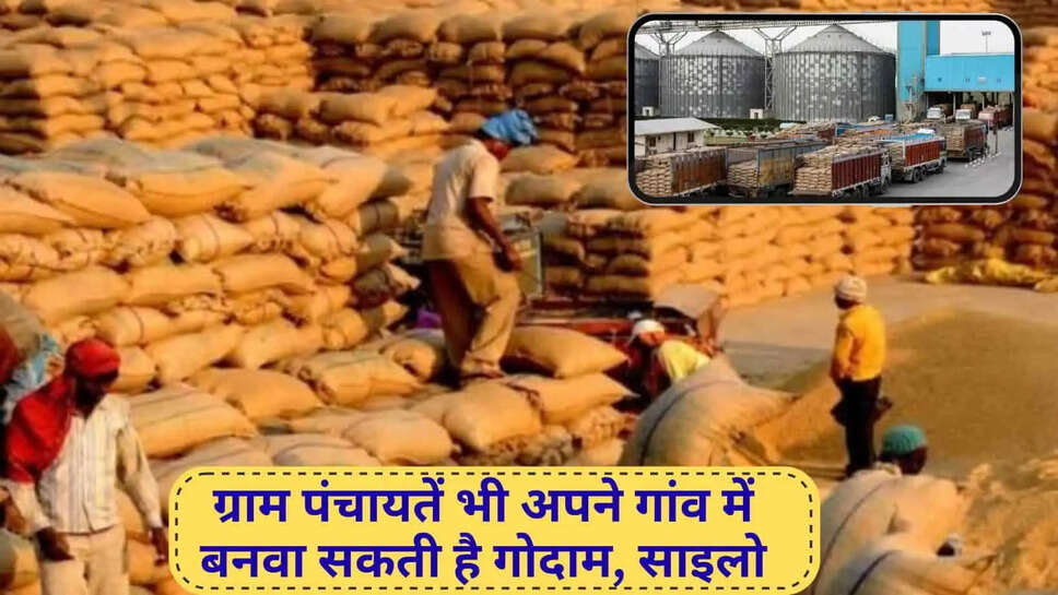 Haryana news  पंचायत के पास है जमीन तो बनवा सकती हैं अनाज गोदाम, शाइलो, जानिए हरियाणा सरकार की योजना&nbsp;