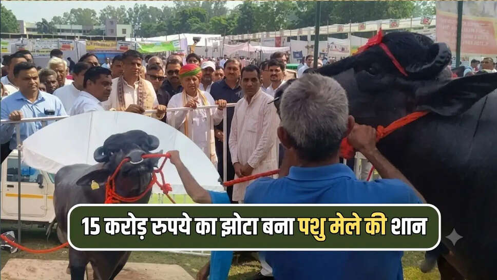 15 करोड़ रुपये का झोटा बना पशु मेले की शान