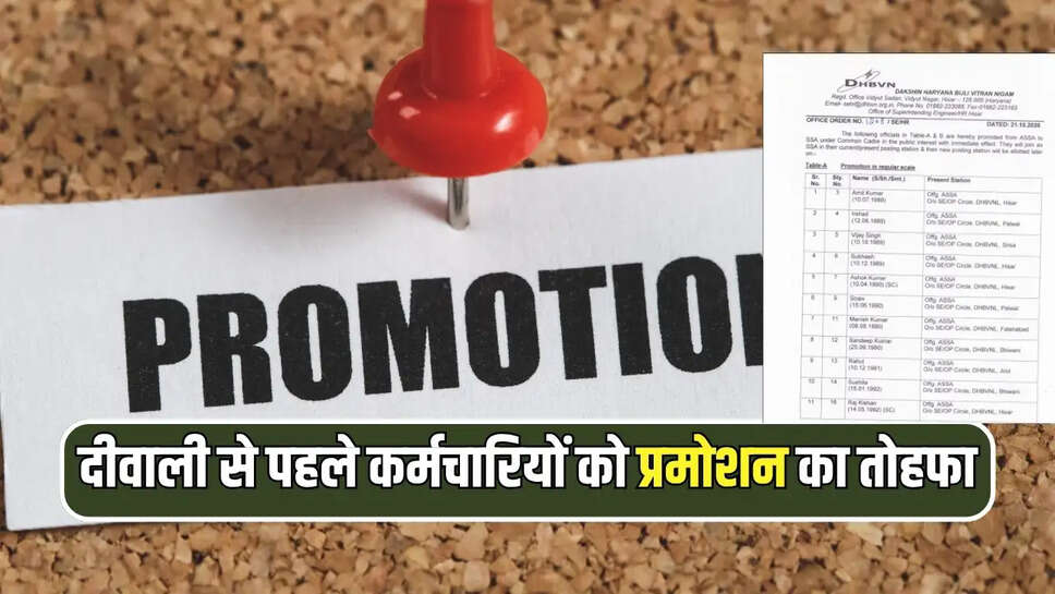 HARYANA NEWS