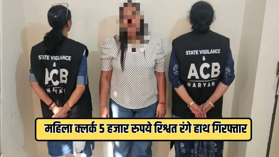 महिला क्लर्क 5 हजार रुपये रिश्वत रंगे हाथ गिरफ्तार