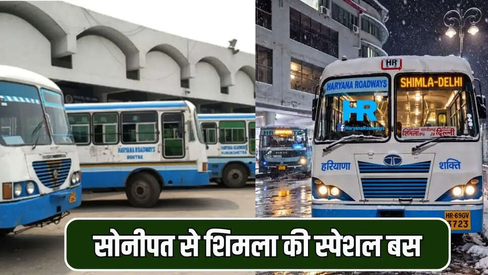 सोनीपत से शिमला, शुरू हुई हरियाणा रोडवेज की स्पेशल बस