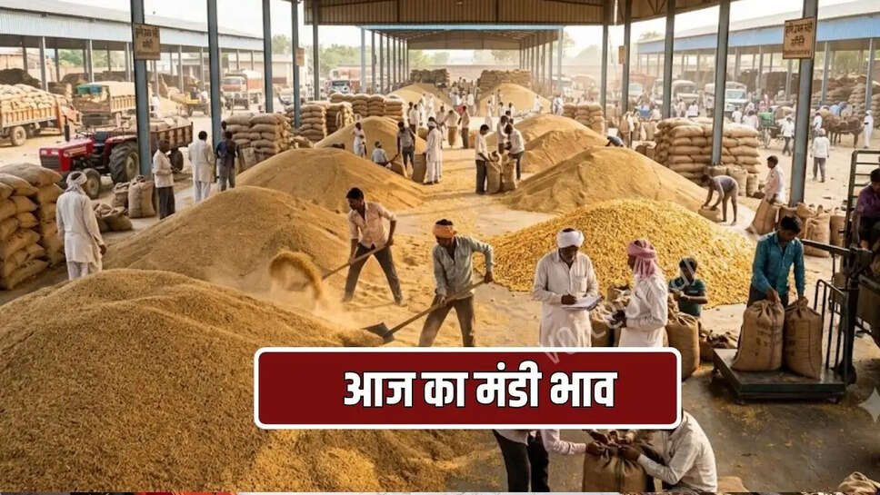 ग्वार की फसल के भाव में इस बार जबरदस्त तेजी देखने को मिल रही है। वहीँ एक्सपर्ट की माने तो आने वाले दिनों में और अधिक उछाल भी देखा जा सकता है।&nbsp;