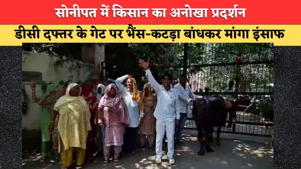 Demanded justice by tying a buffalo and its calf at the DC office gate.