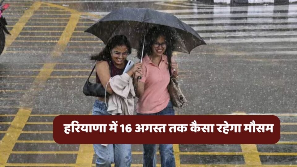 heavy rain alert in haryana