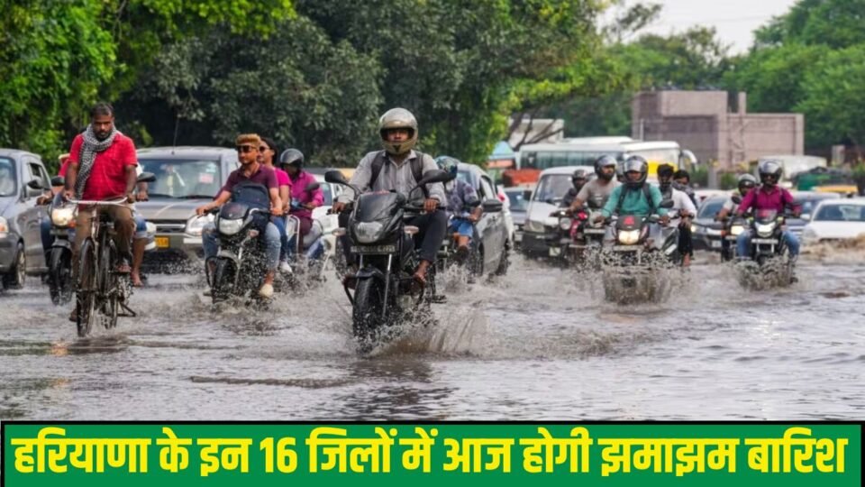 Haryana Weather Update: हरियाणा में मानसून ने फिर पकड़ी रफ्तार, 7 जिलों में आज भारी बारिश का अलर्ट