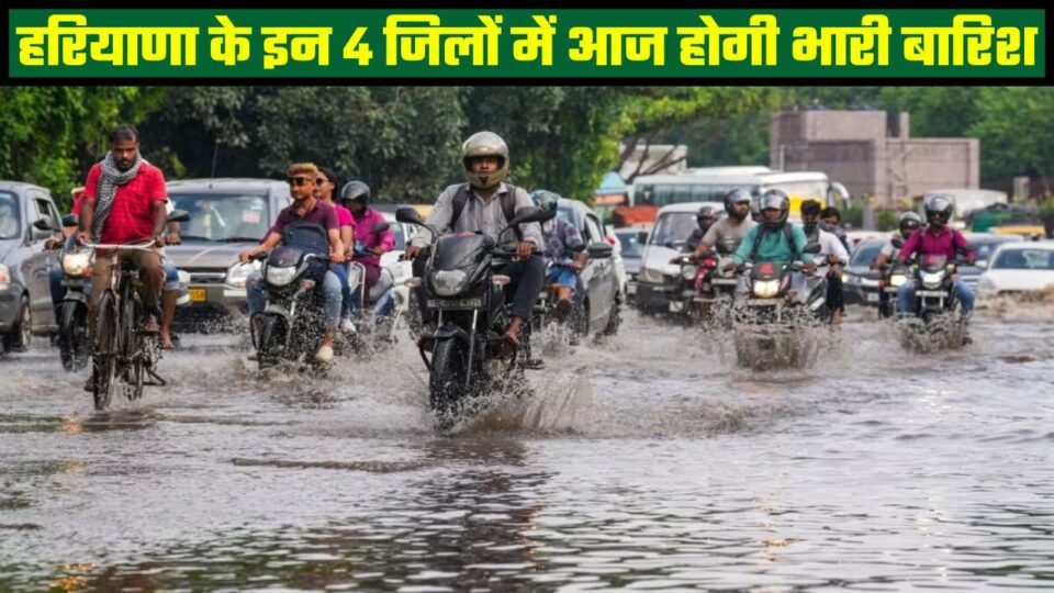 हरियाणा के इन जिलों में भारी बारिश का अलर्ट, जानें आज कहां- कहां होगी बारिश ?