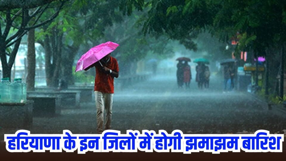 हरियाणा के इन जिलों में होगी झमाझम बारिश, IMD ने जारी किया अलर्ट