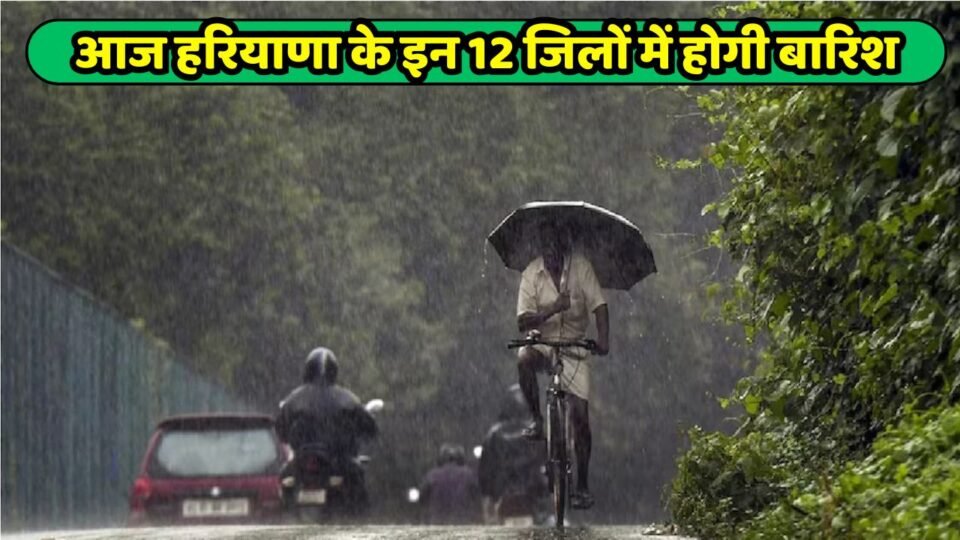हरियाणा के इन 12 जिलों में होगी बारिश, देखें आज कैसा रहेगा मौसम ?