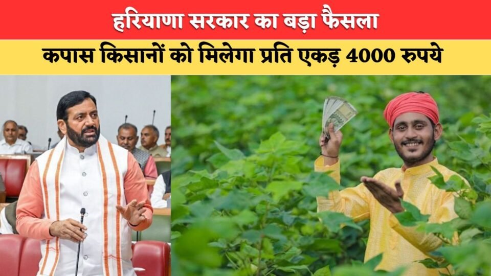 Cotton farmers to receive a subsidy of ₹4,000 per acre