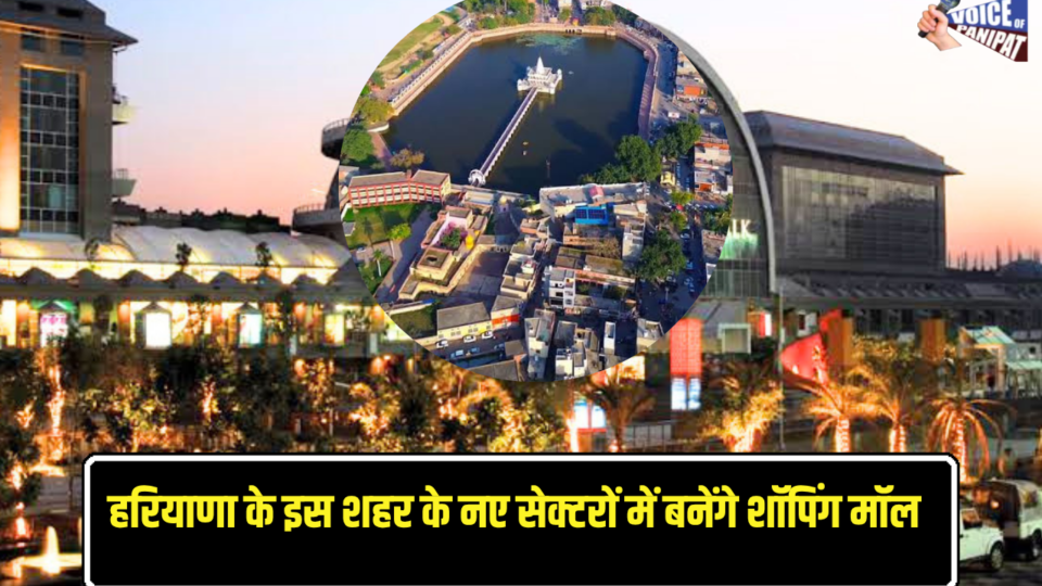 HARYANA NEWS