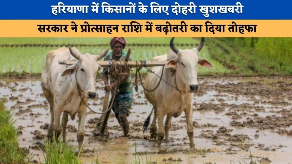 Double good news for farmers in Haryana