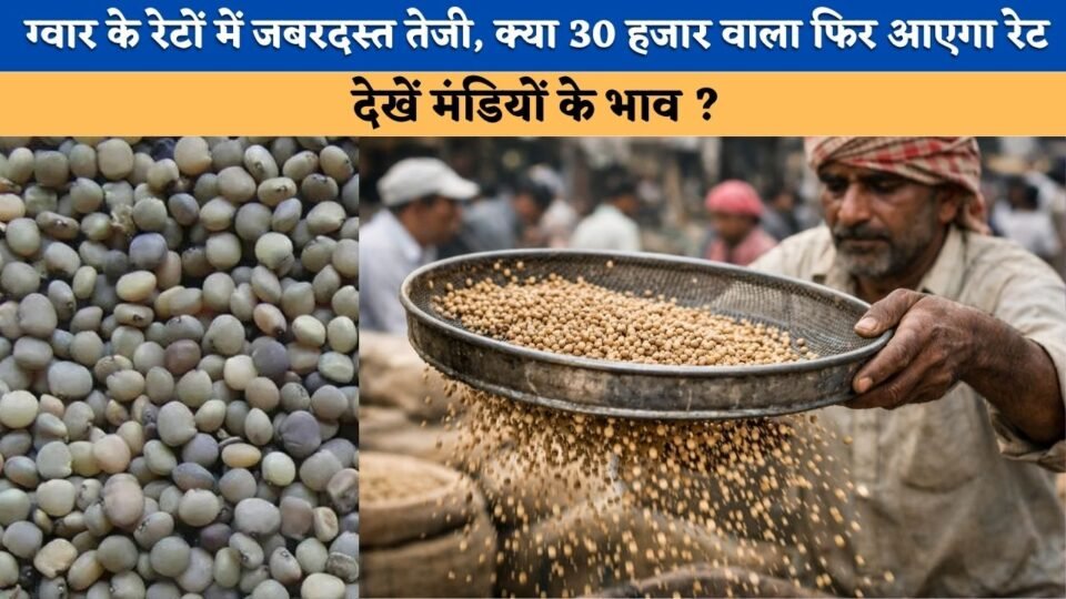 Guar price on September 5, 2026
