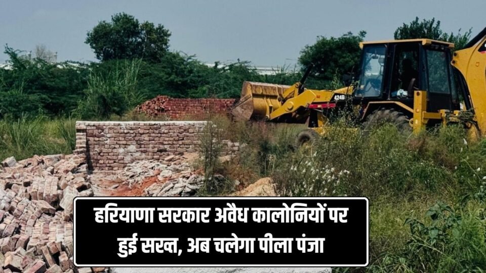 Haryana government cracks down on illegal colonies