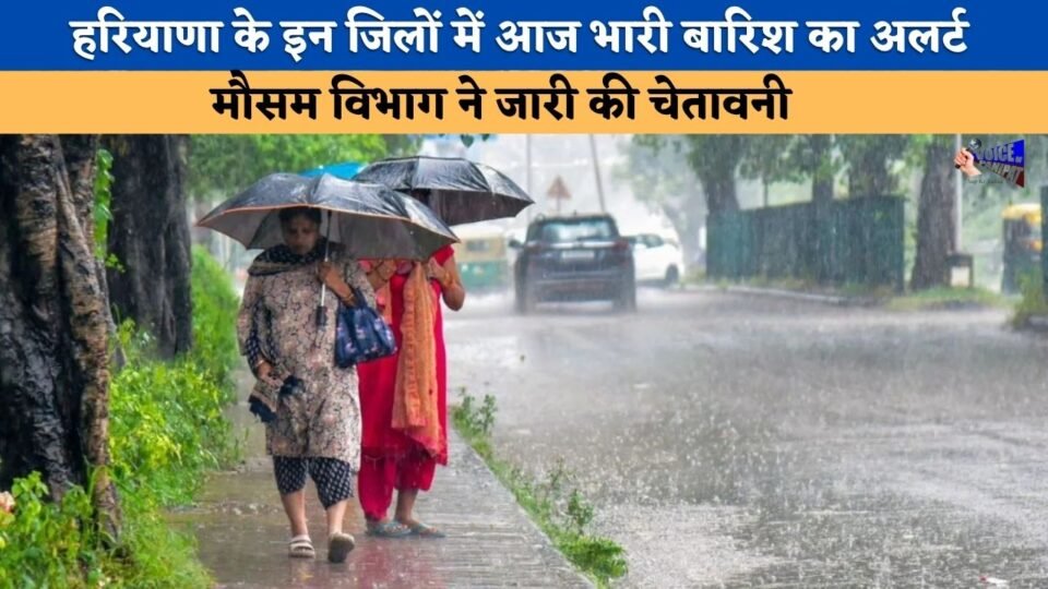 Heavy rain alert for these districts of Haryana today