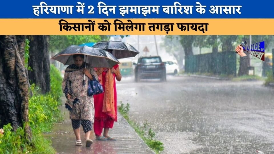 Heavy rainfall expected in Haryana over the next two days; farmers set to benefit significantly, and relief from sultry heat is on the way.