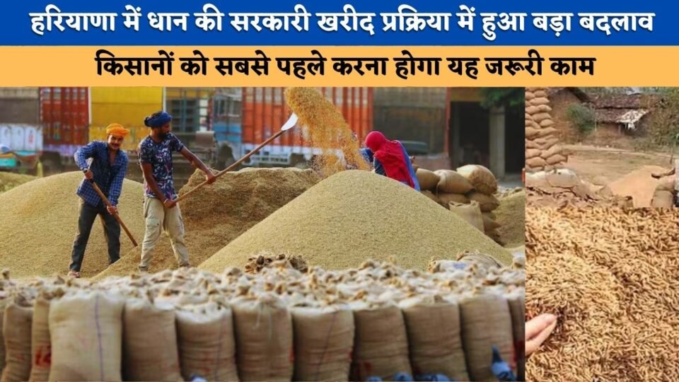 Major change in the government procurement process for paddy in Haryana