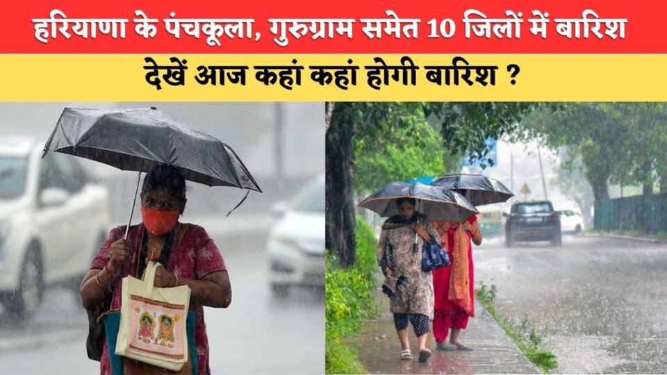 Rain alert for 10 districts, including Panchkula and Gurugram