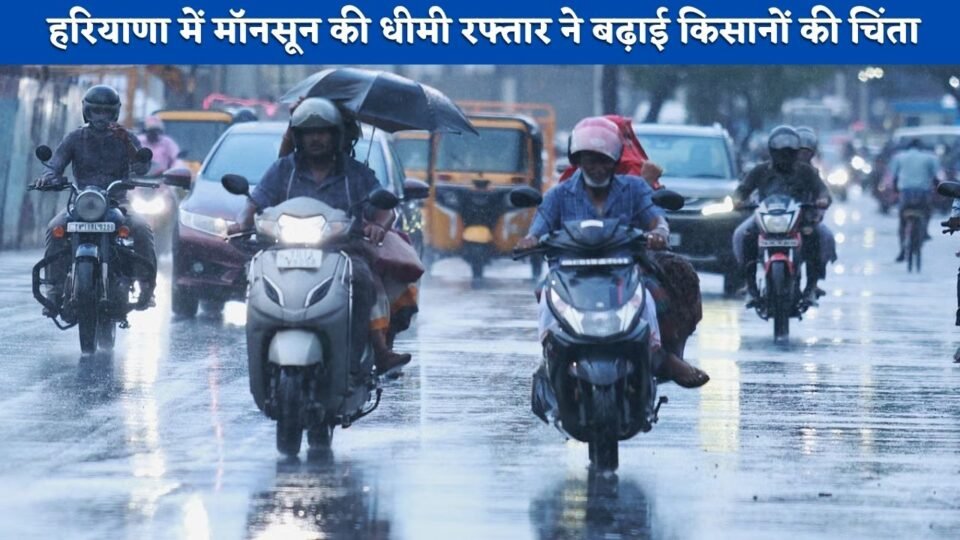 Slow monsoon progress in Haryana raises farmers' concerns