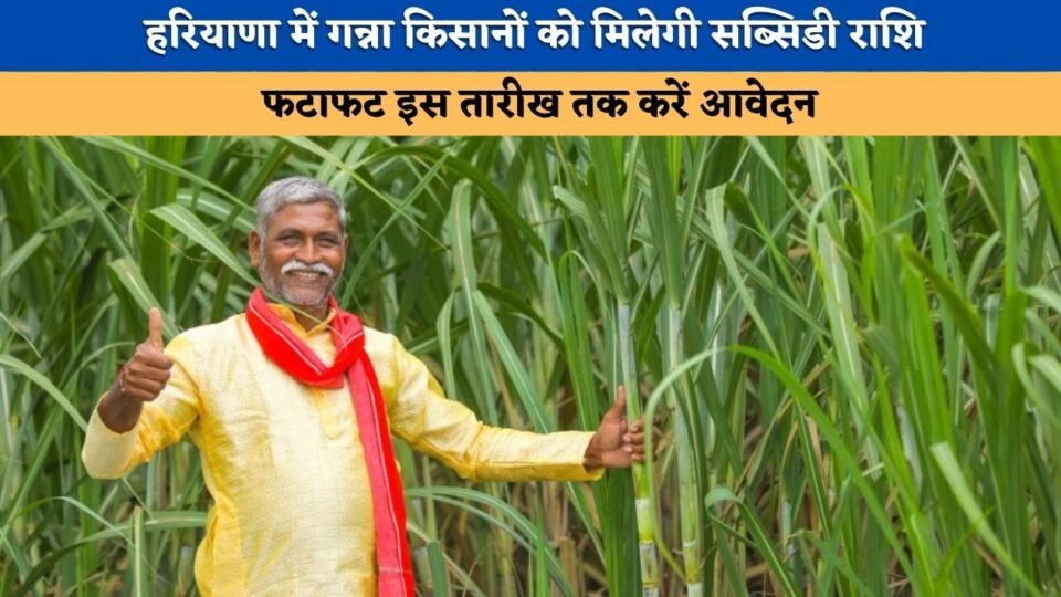 Sugarcane farmers in Haryana to receive subsidy; apply by this date without delay.