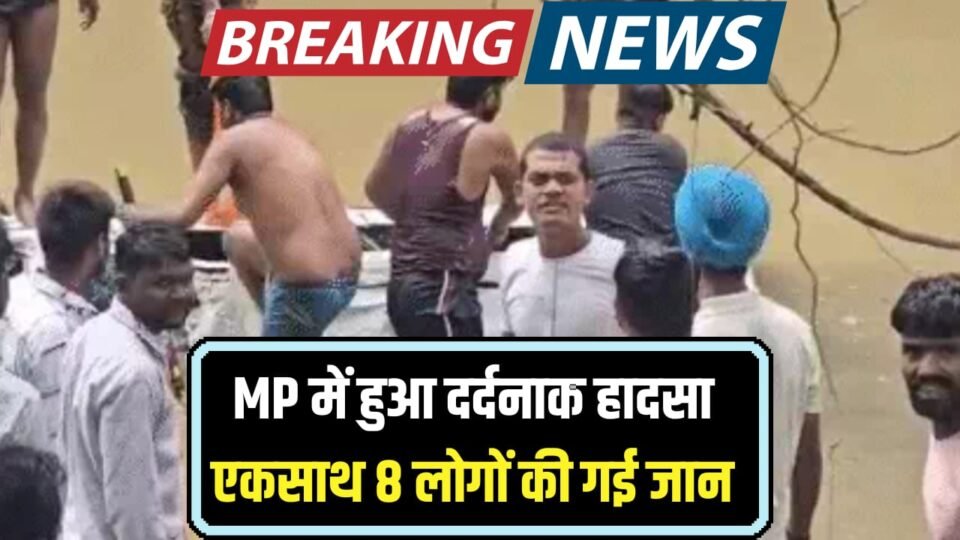MP NEWS