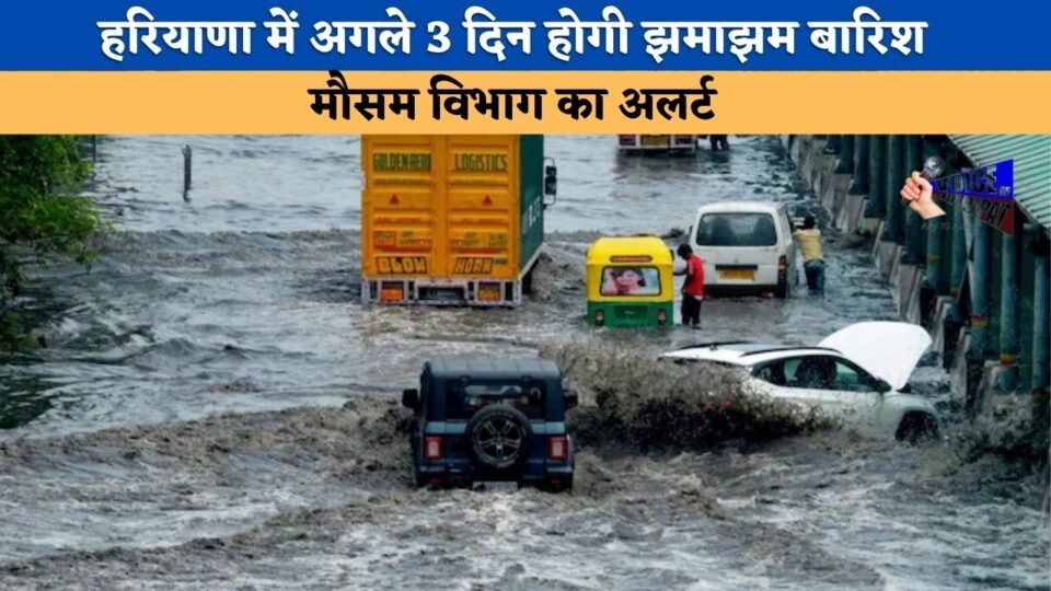 heavy rain in Haryana for the next 3 days