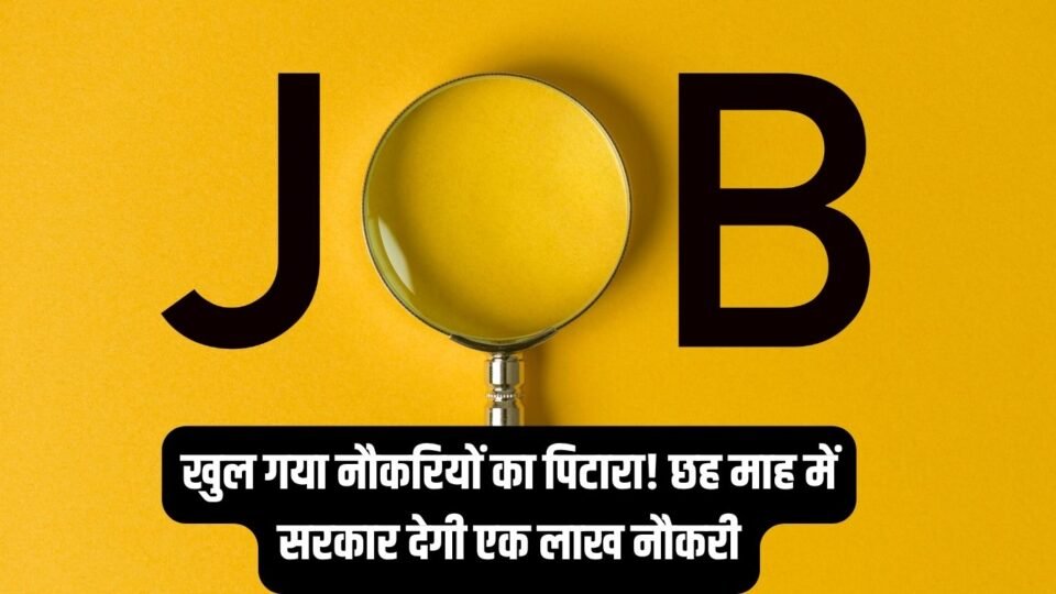 खुल गया नौकरियों का पिटारा! छह माह में सरकार देगी एक लाख नौकरी
