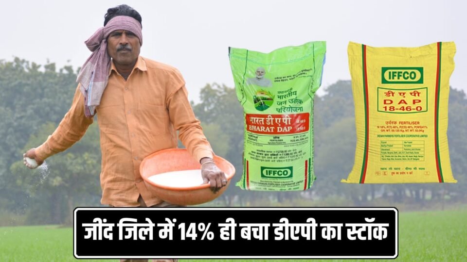 जींद जिले में 2.16 लाख हेक्टेयर में होगी गेहूं की बिजाई;