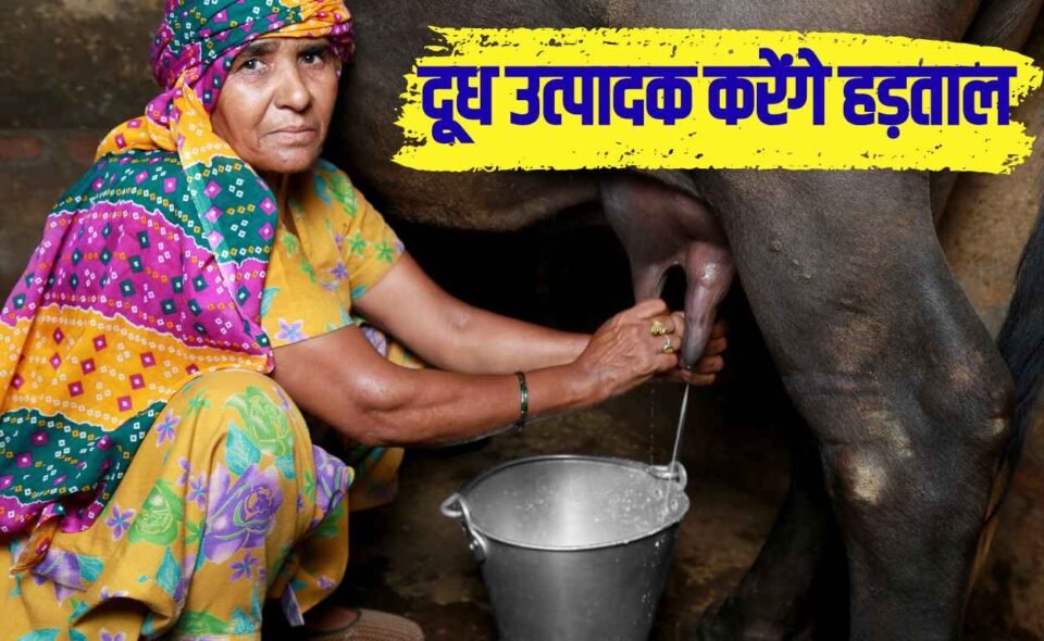 हरियाणा में दूध उत्पादक करेंगे हड़ताल, भाव बढ़ाने और मिलावटी दूध उत्पादों पर रोक की मांग