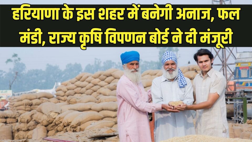 हरियाणा के इस शहर में बनेगी अनाज, फल एवं सब्जी मंडी