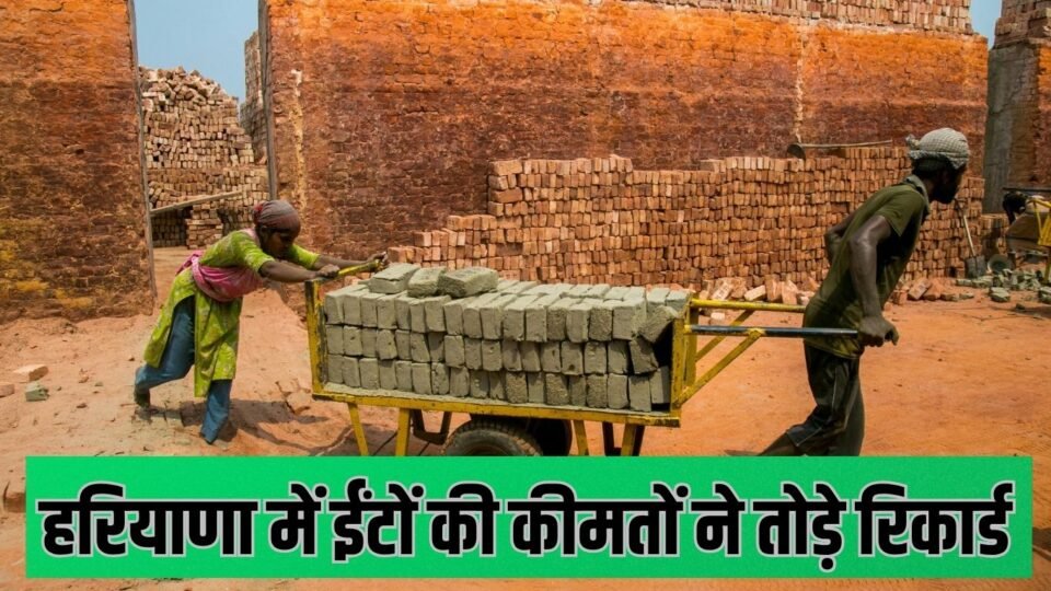 हरियाणा में ईंटों की कीमतों ने तोड़े रिकार्ड