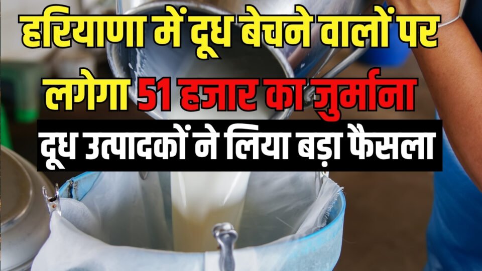 हरियाणा में दूध बेचने वालों पर लगेगा 51 हजार का जुर्माना, दूध उत्पादकों ने लिया बड़ा फैसला