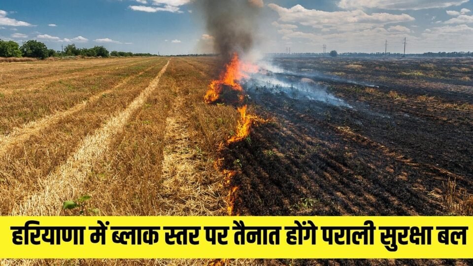 हरियाणा में ब्लाक स्तर पर तैनात होंगे पराली सुरक्षा बल