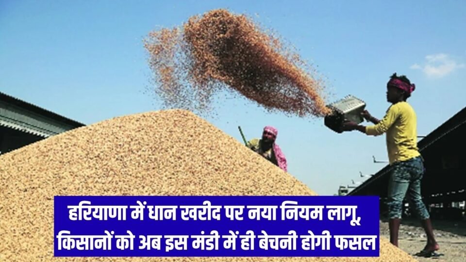 New Paddy Procurement Rules हरियाणा में धान खरीद पर नया नियम लागू