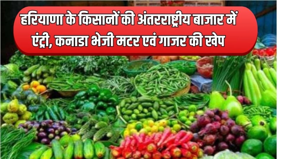हरियाणा के किसानों की अंतरराष्ट्रीय बाजार में एंट्री